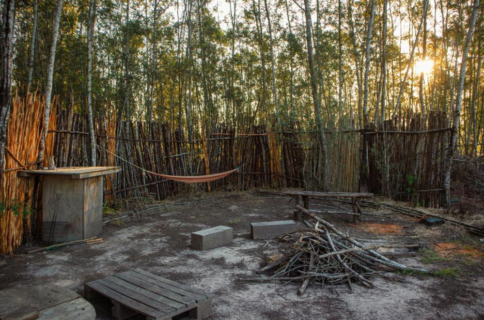 Forest Harmony Книсна Екстер'єр фото