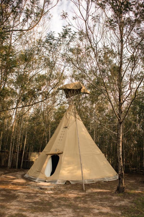 Forest Harmony Книсна Екстер'єр фото